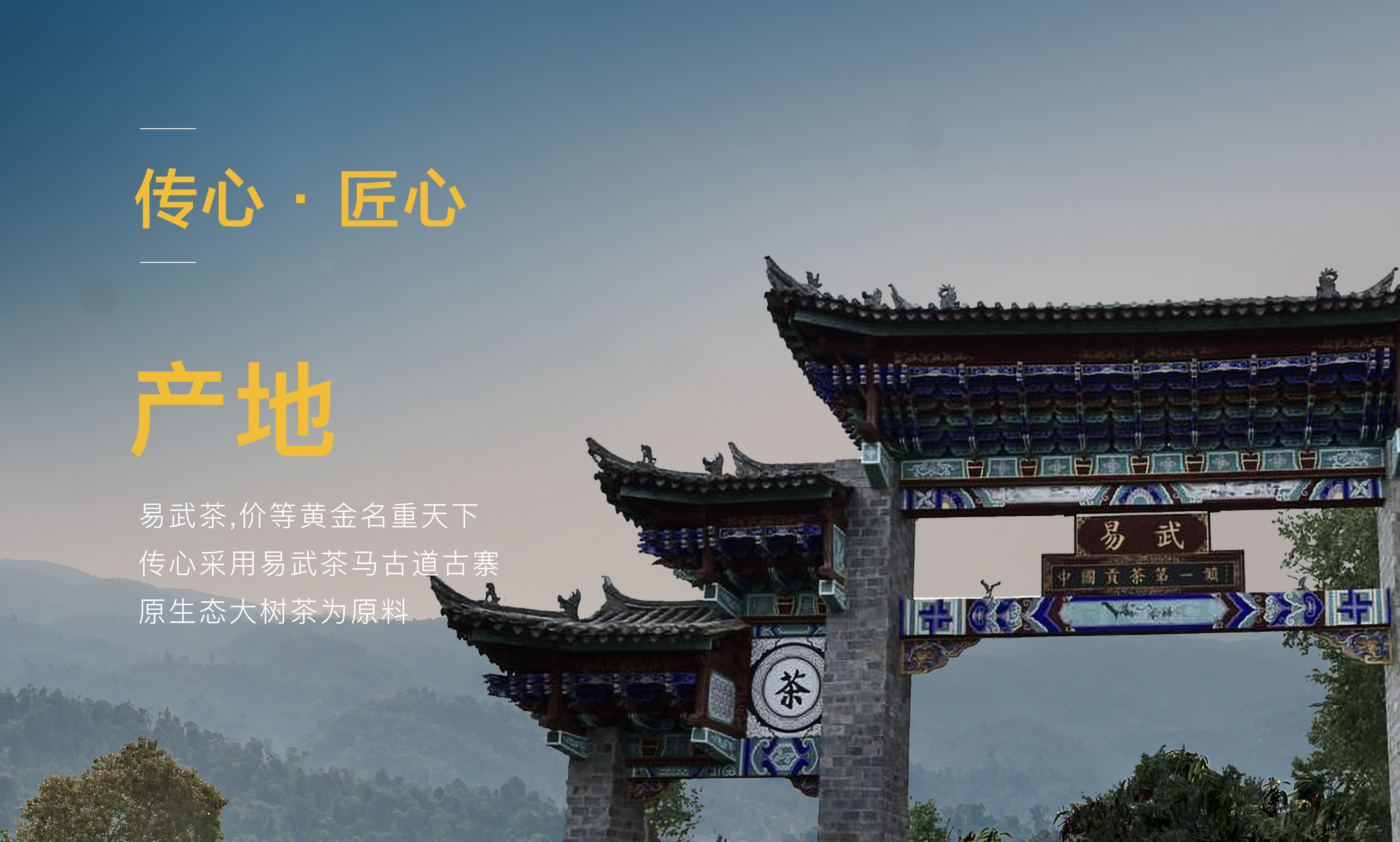 大益傳心1901