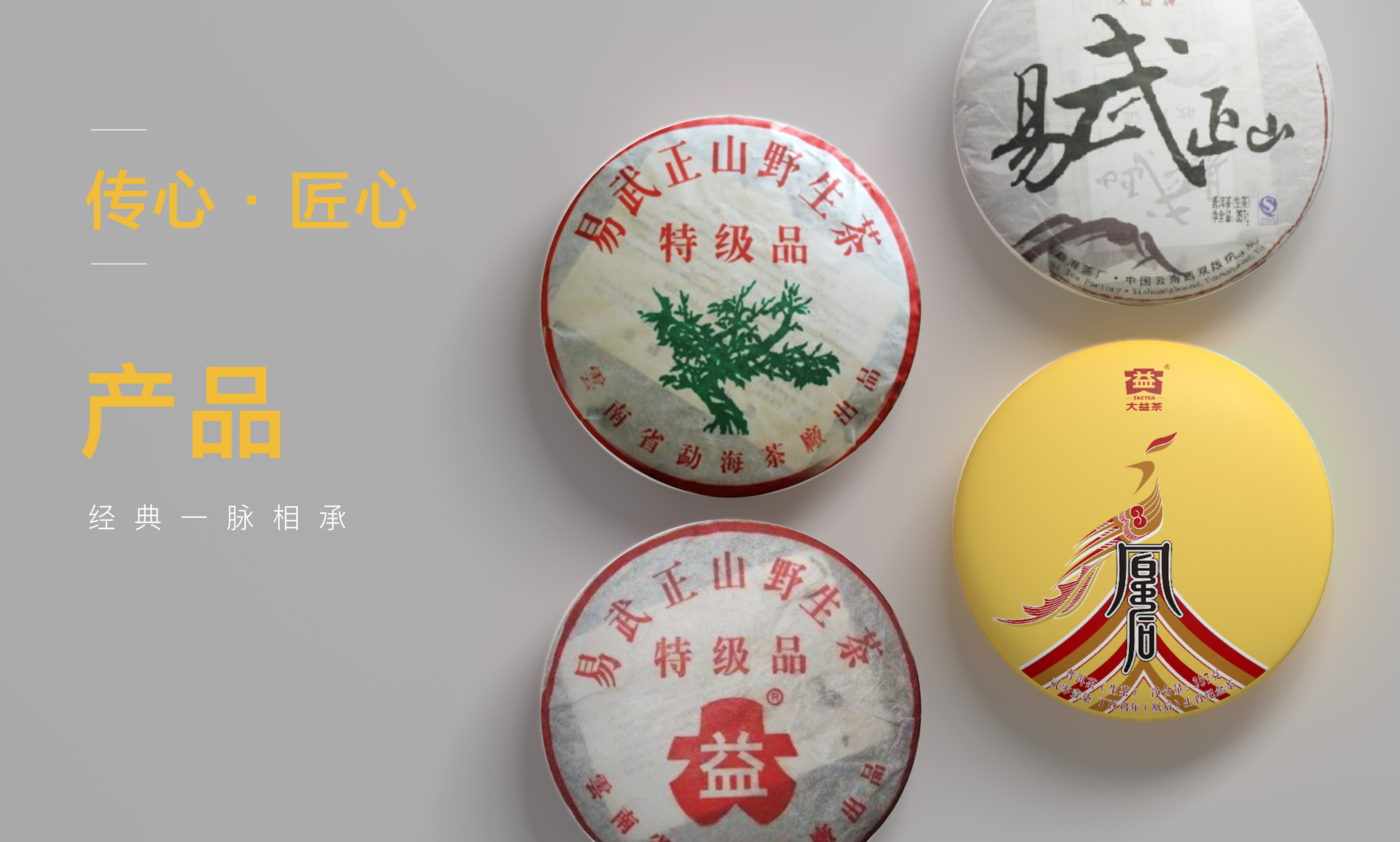 大益傳心1901