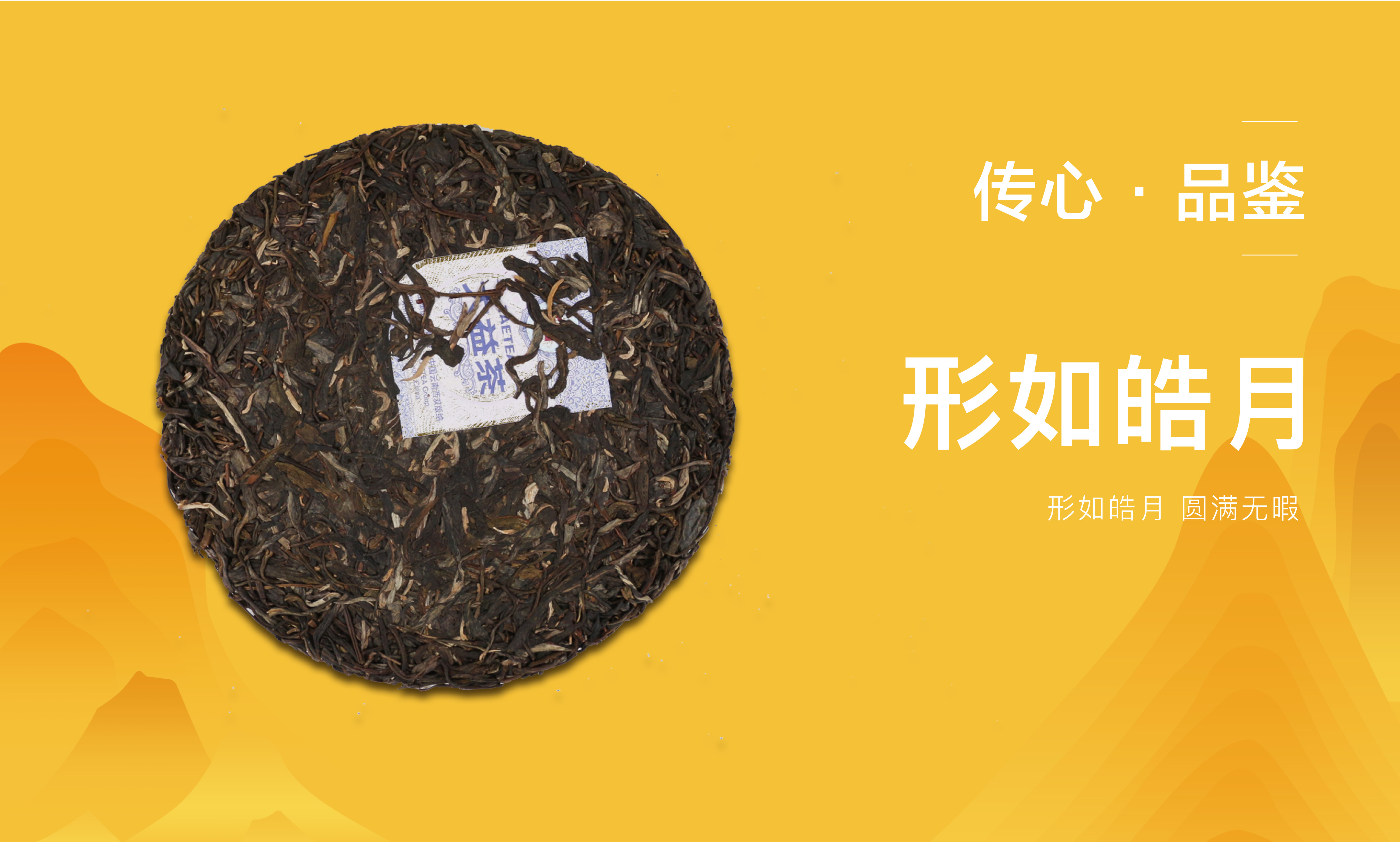 大益傳心1901