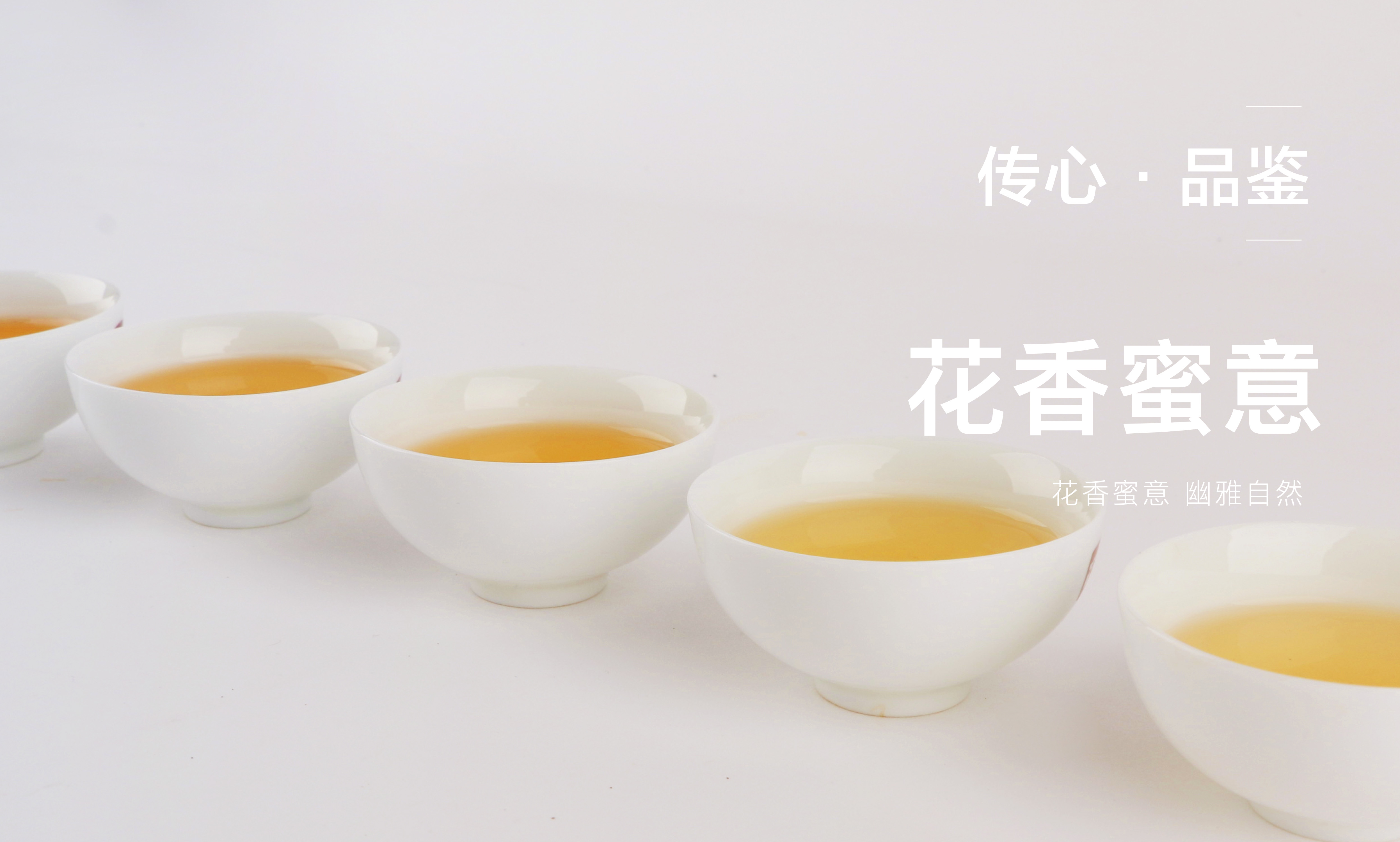大益傳心1901