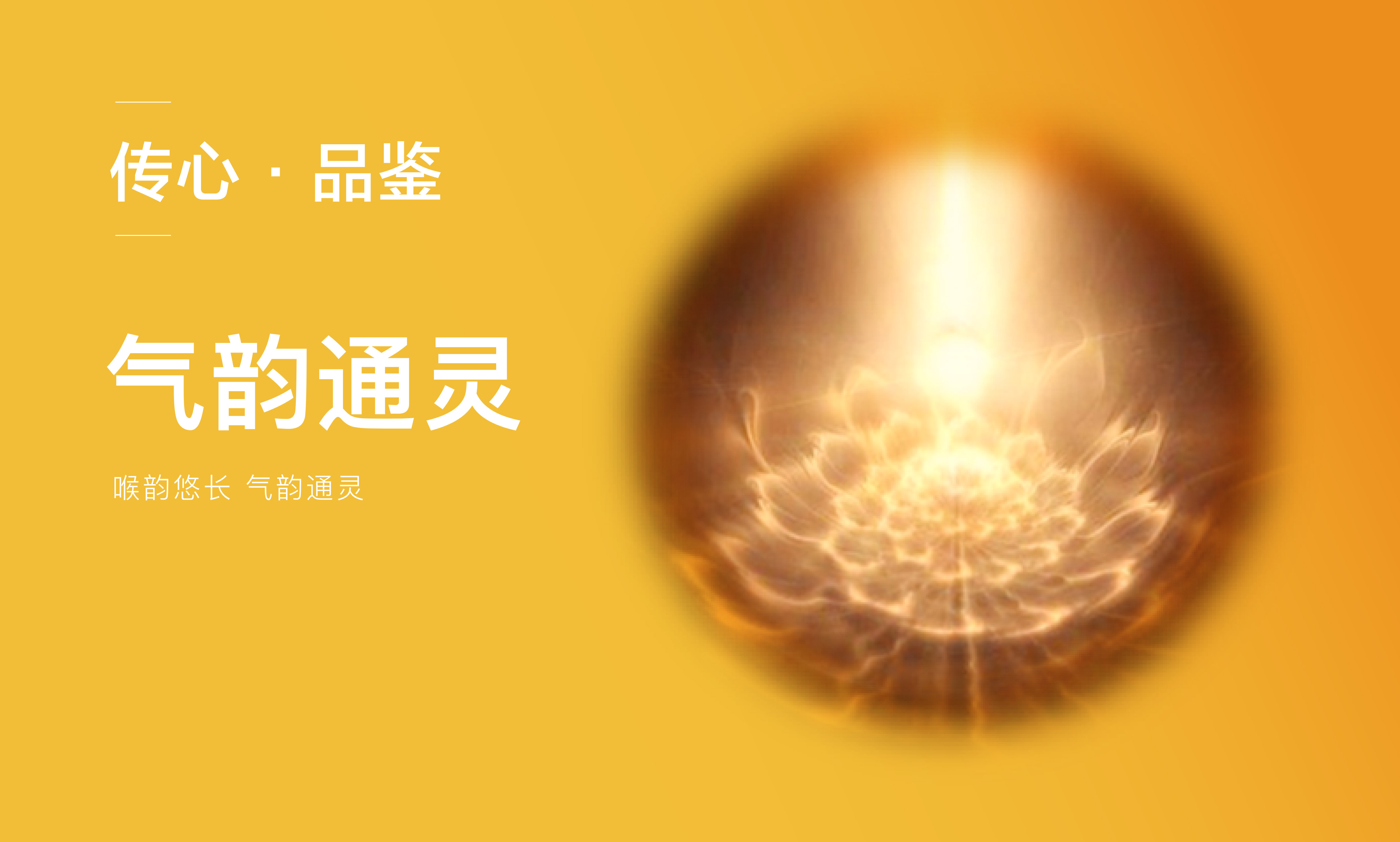 大益傳心1901